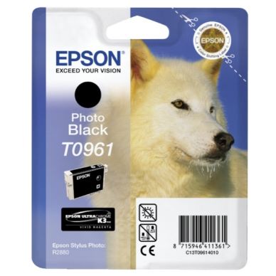 EPSON Bläckpatron svart foto T0961